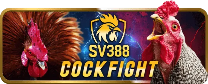 Cá cược thể thao af88 login với trận đấu bóng đá